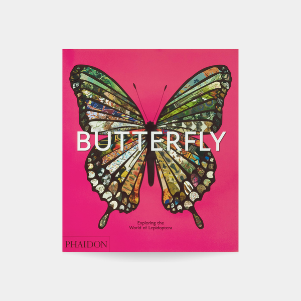 Butterfly: Exploring the World of Lepidoptera