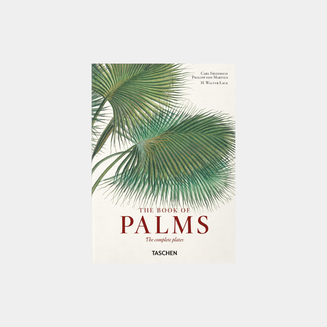 40 Martius: Księga Palm