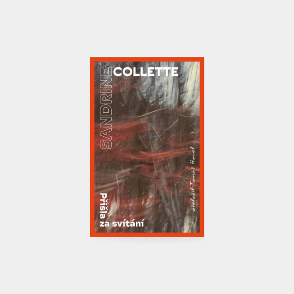 Přišla za svítání - Sandrine Collette