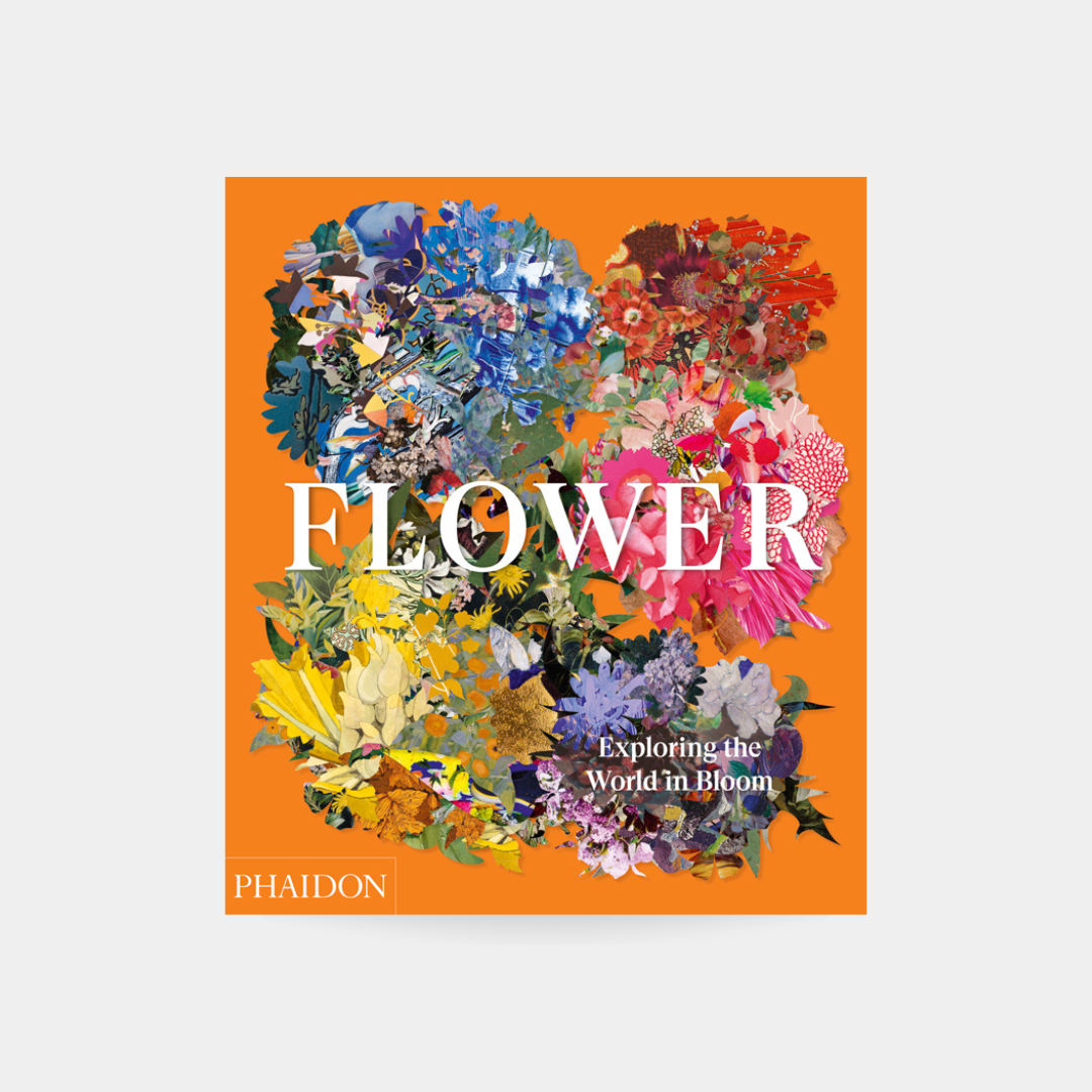 Kwiat - Odkrywanie Świata Bloom