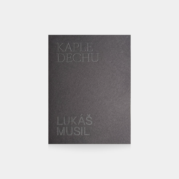 Kaple dechu - Lukáš Musil