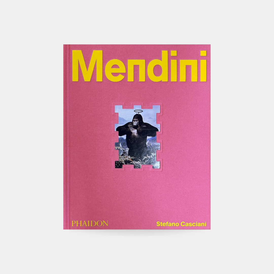Alessandro Mendini, Imagination Takes Command