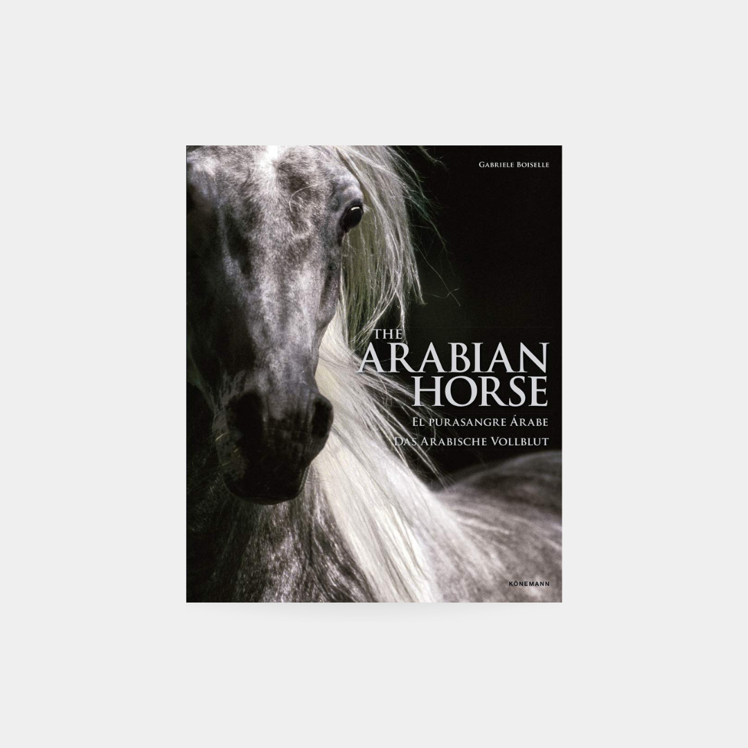 The Arabian Horse