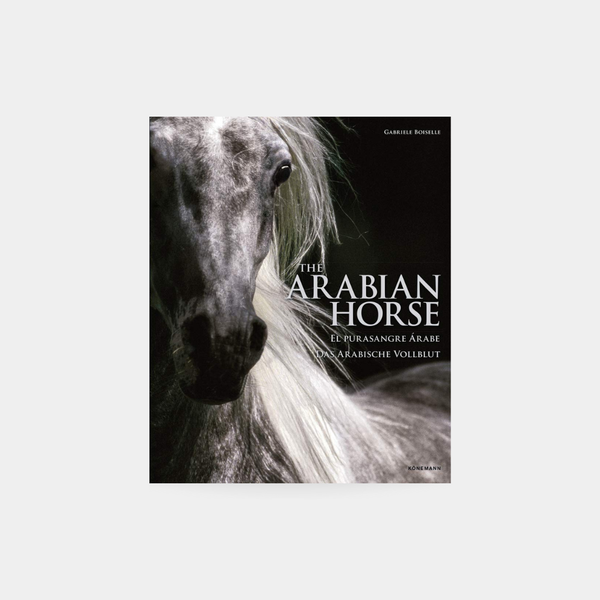 The Arabian Horse