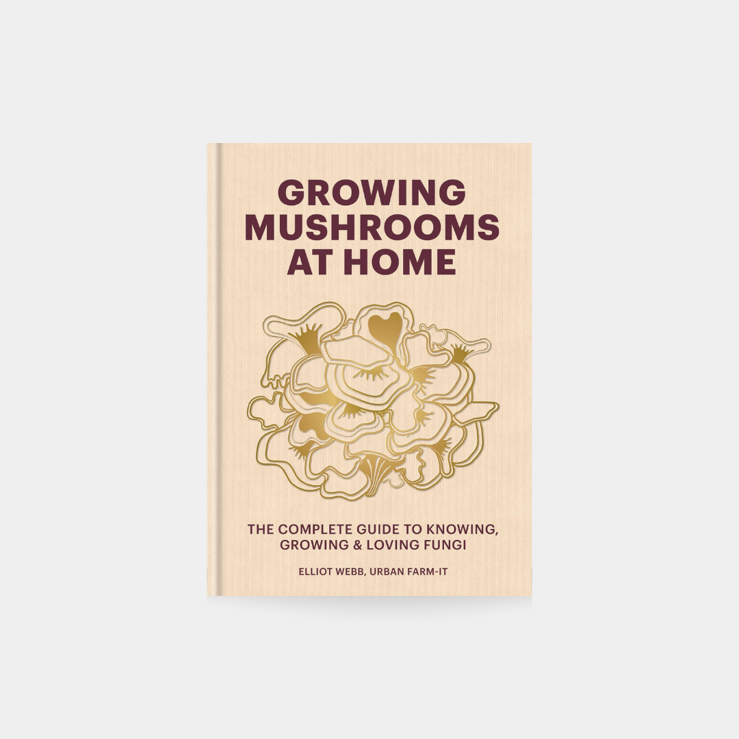Growing Mushrooms at Home