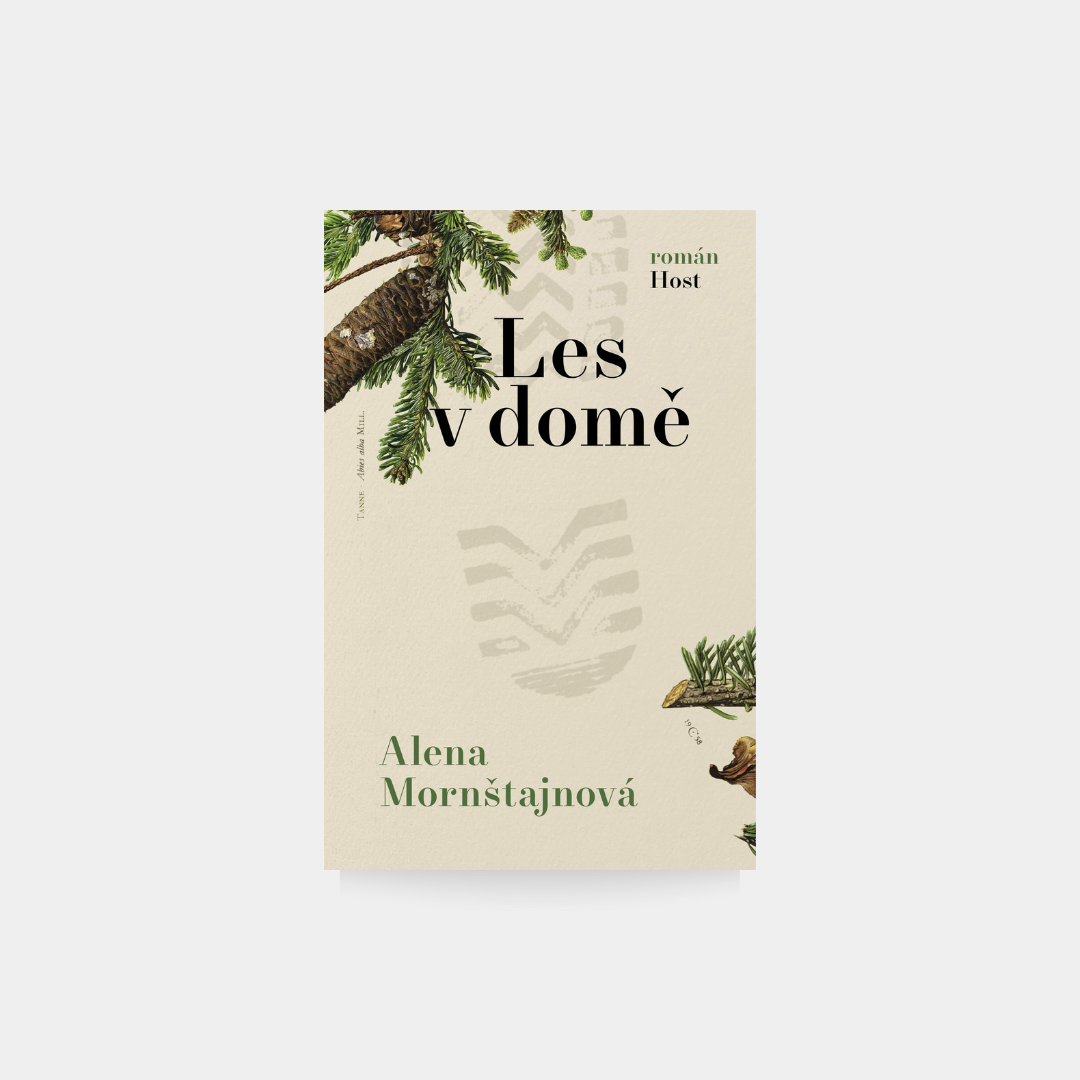 Les v domě - Alena Mornštajnová