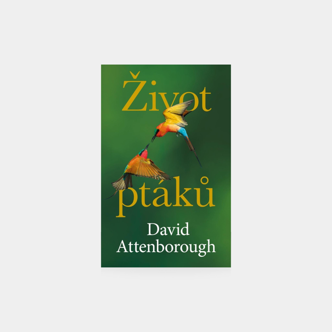 Život ptáků - David Attenborough