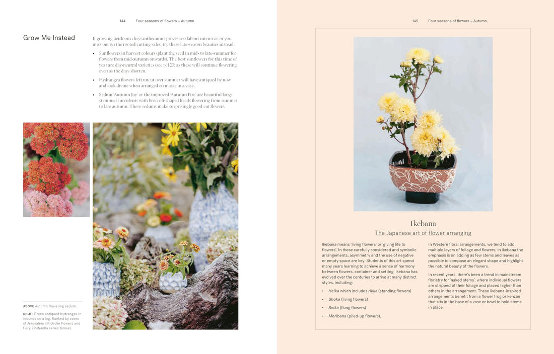 Secrets from the Flower Farm: Growing abundant flowers in unpredictable conditions