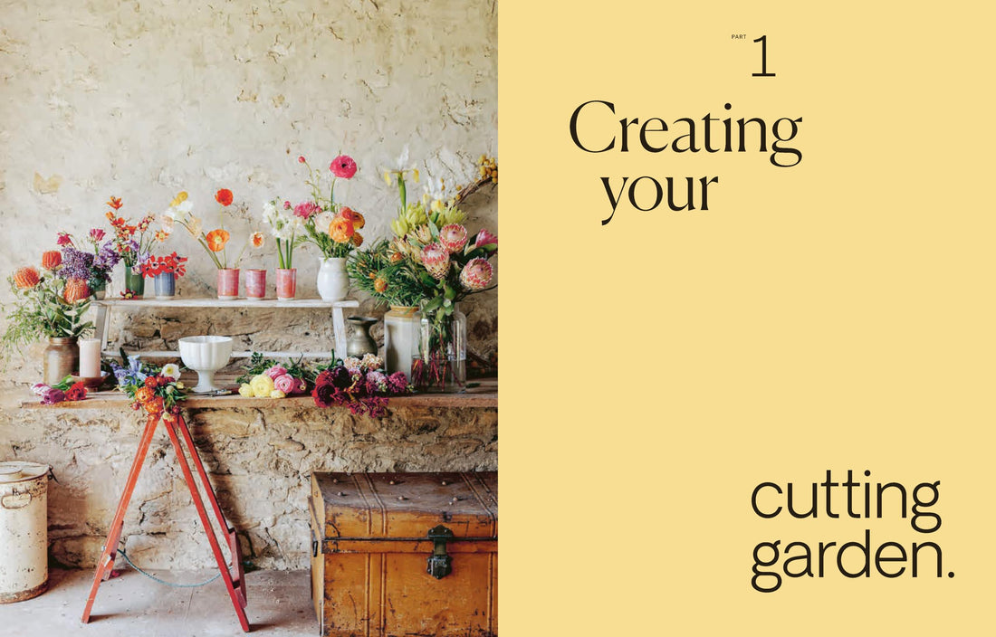 Secrets from the Flower Farm: Growing abundant flowers in unpredictable conditions