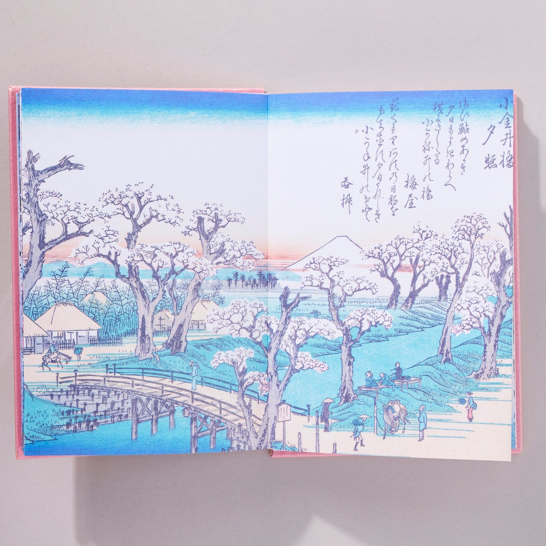 Cherry Blossoms: Great Works of Japanese Woodblock Printing