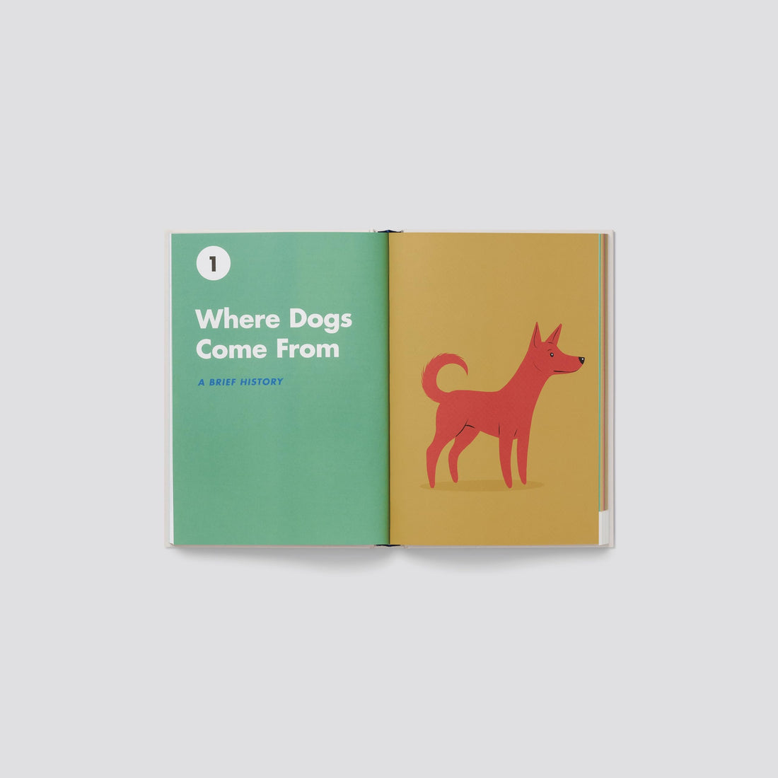 Dogs of the World: An Illustrated Compendium Lili Chin