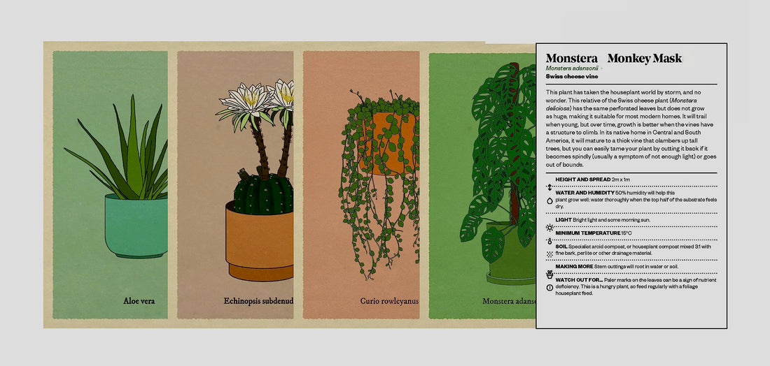 Ogrodnik z roślinami doniczkowymi w pudełku (karty)
