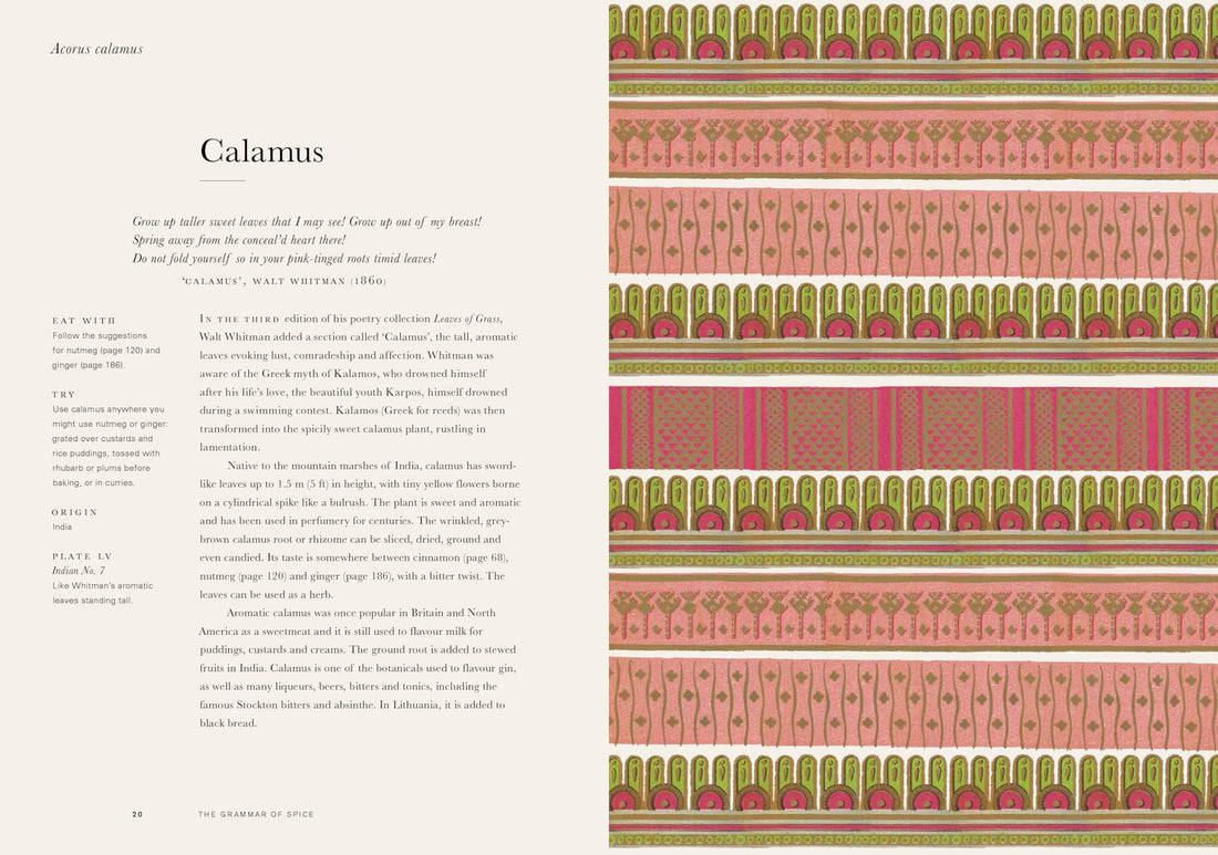 The Grammar of the Spices