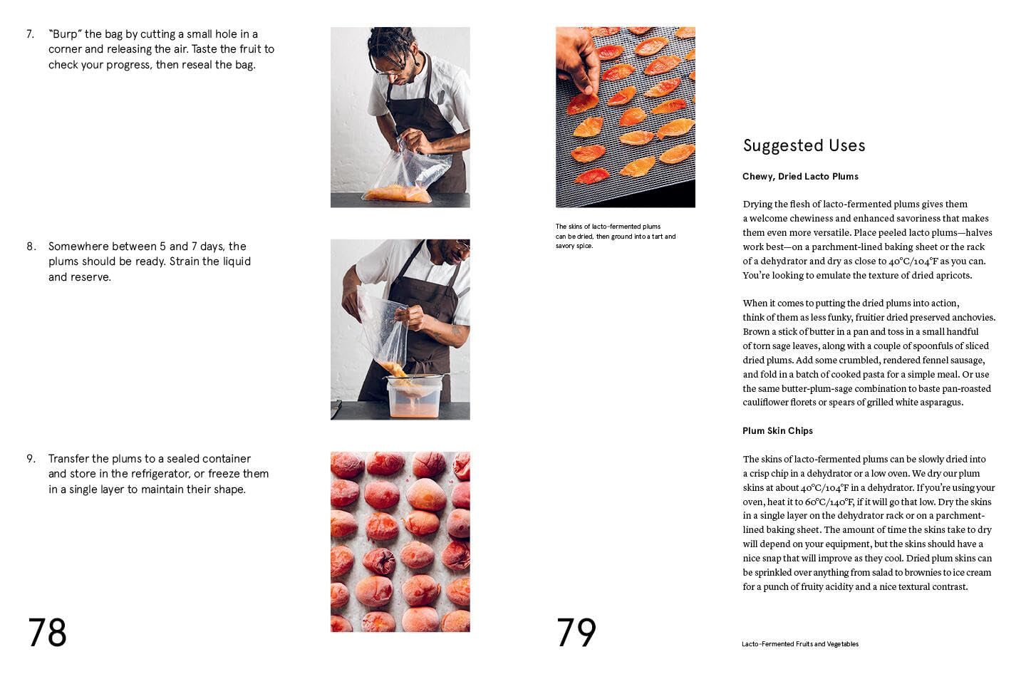 NOMA Guide to Fermentation – David Zilber, René Redzepi