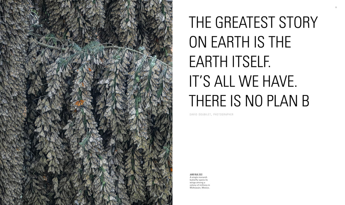 National Geographic The Photographs