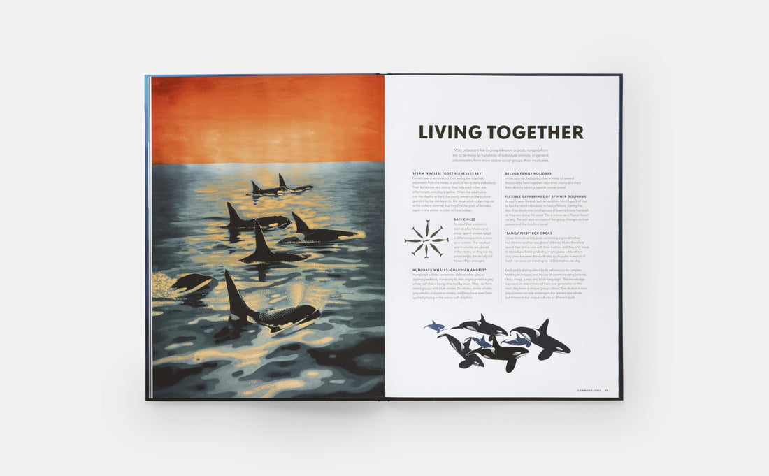 Mysteries of Marine Mammals