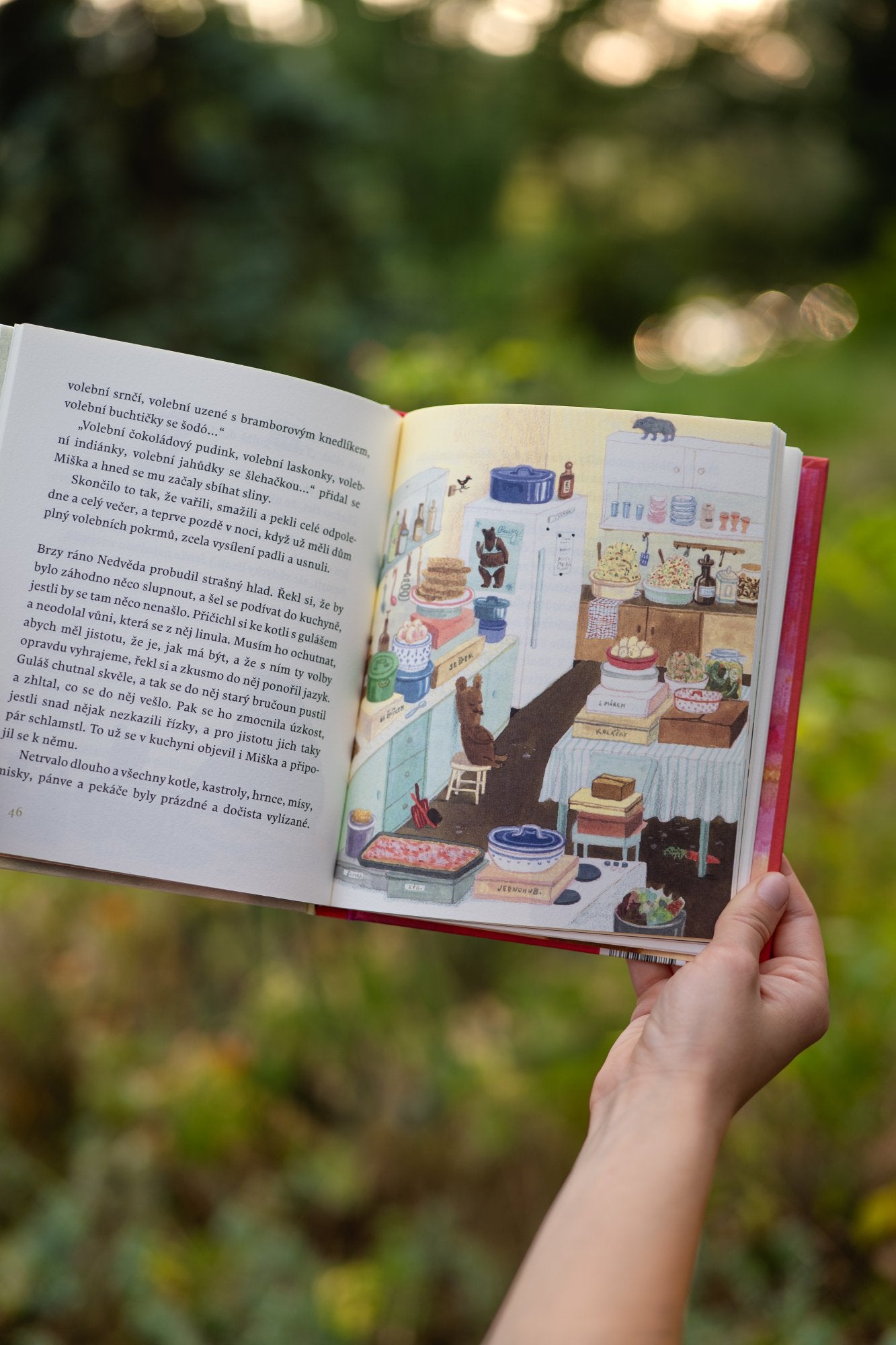 Malá medvědí knížka