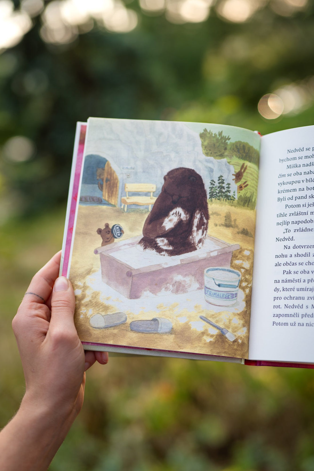 Malá medvědí knížka