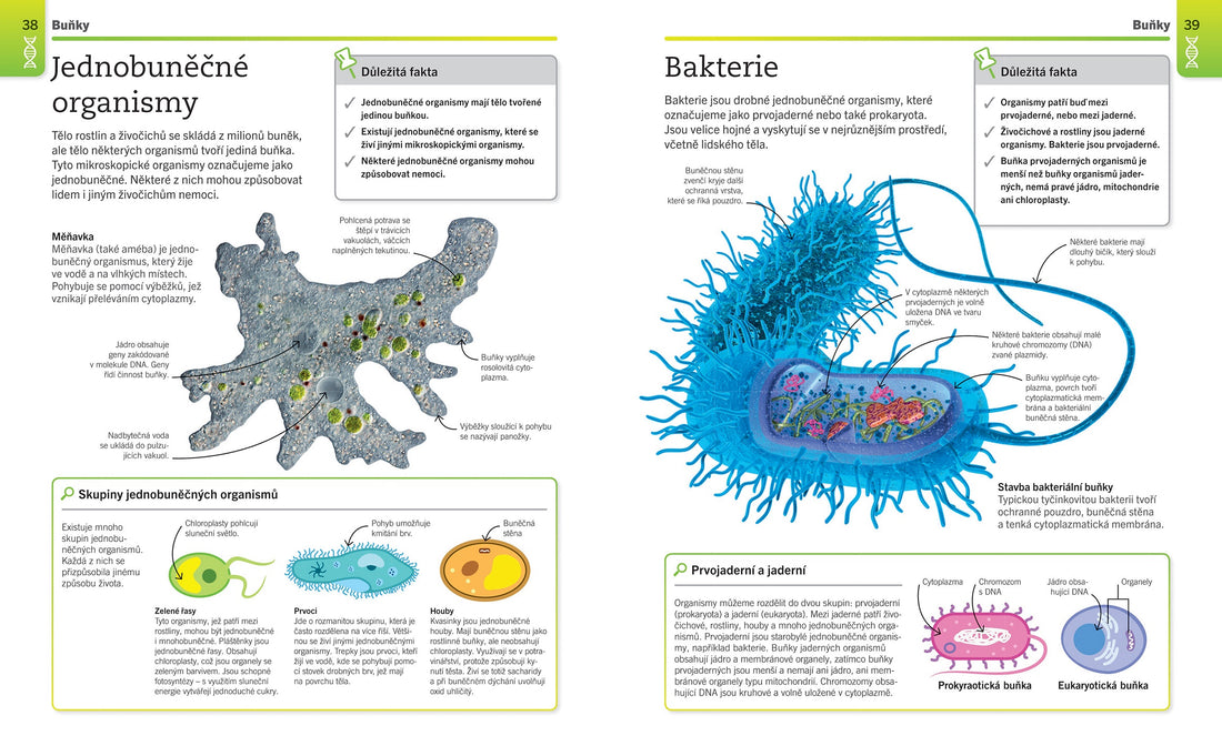 Supersnadná biologie