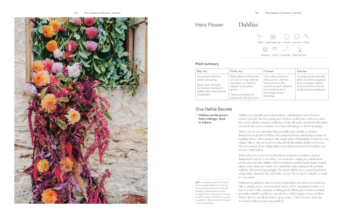Secrets from the Flower Farm: Growing abundant flowers in unpredictable conditions