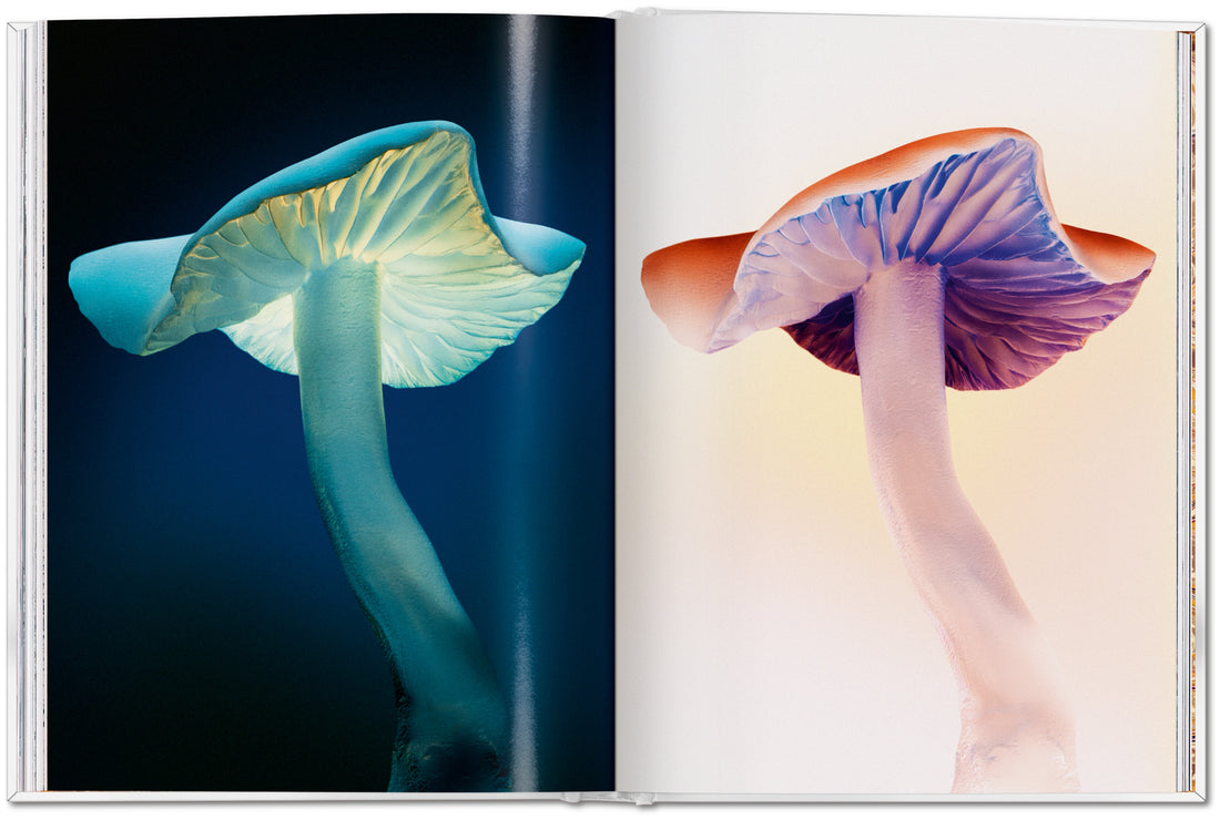 Gourmands Mushroom. A Collection of Stories & Recipes