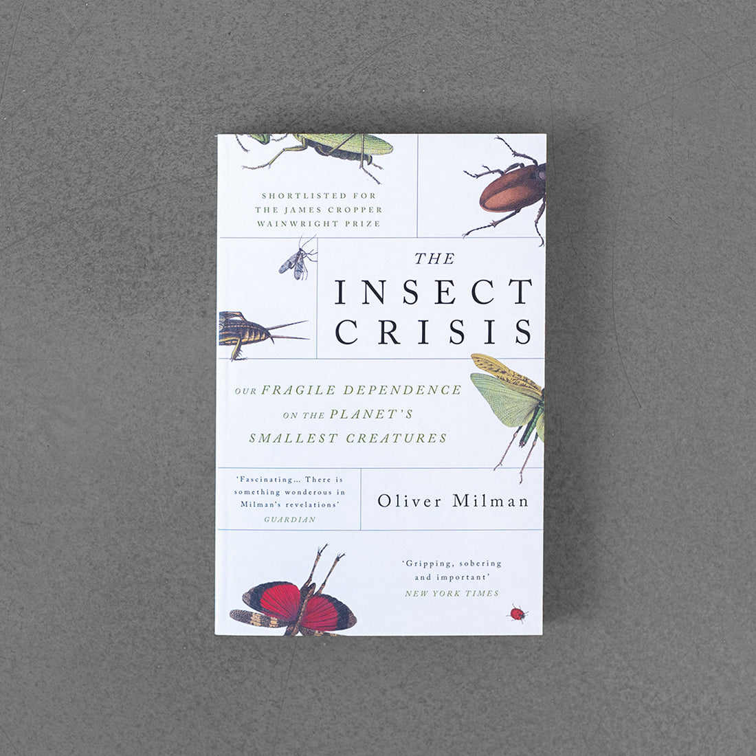 Kryzys owadów