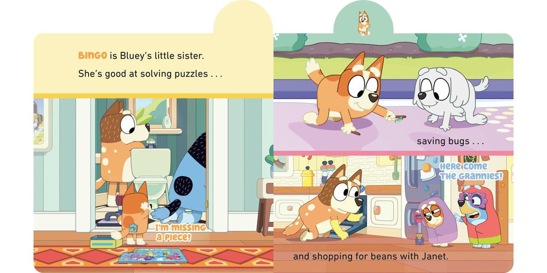 Bluey: Meet Blueys Family