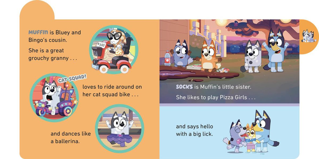 Bluey: Meet Blueys Family