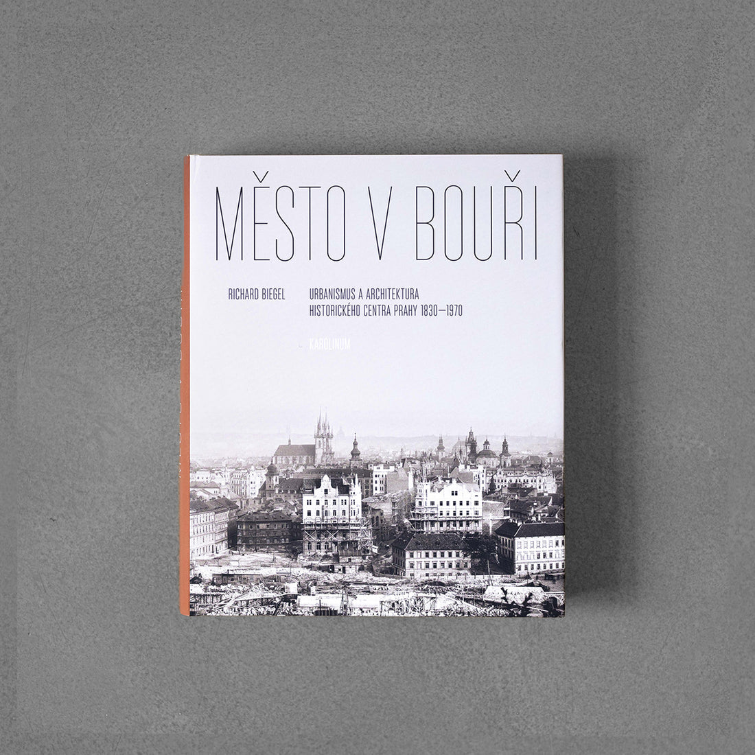 Miasto w czasie burzy – Richard Biegel