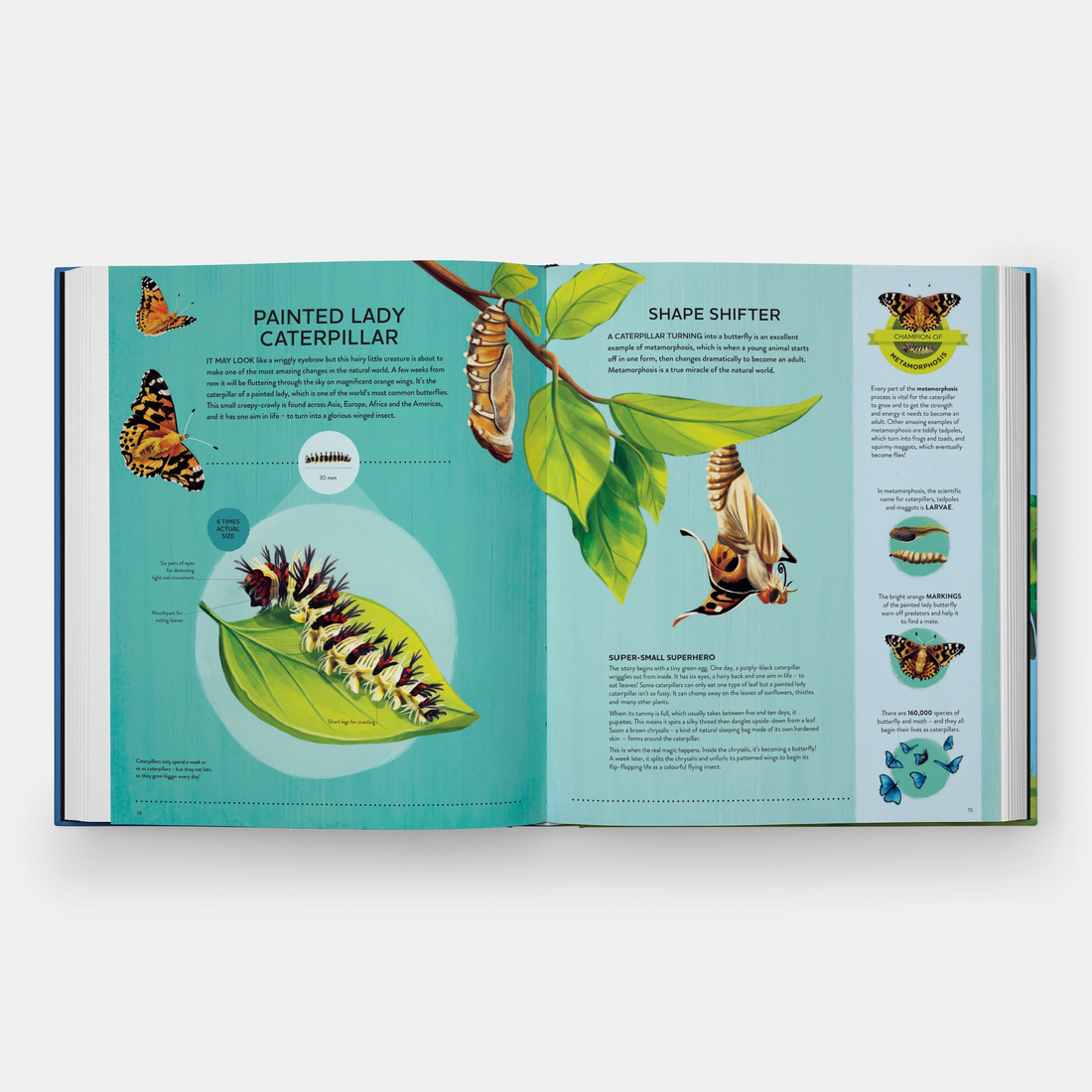 Nature's Tiny Champions: The Big Book of Little Creatures Doing Mighty Things