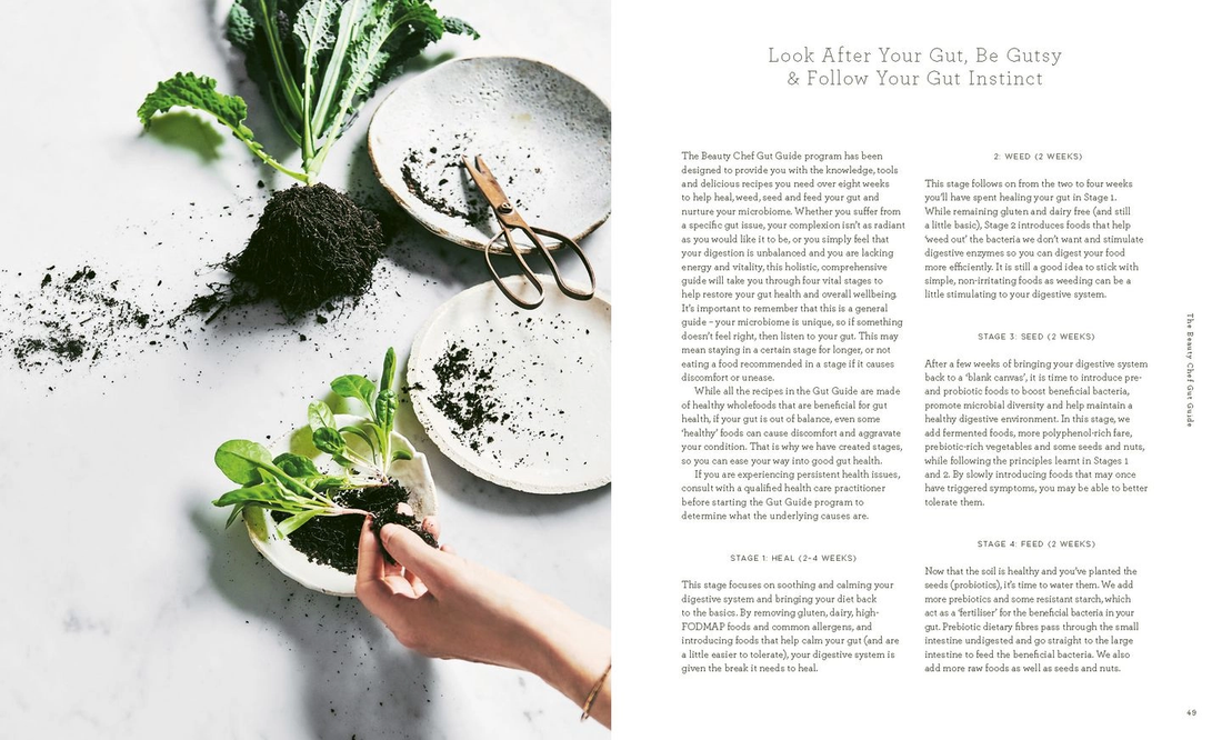 The Beauty Chef Gut Guide: 90+ FODMAP