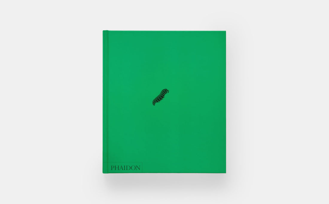 Butterfly: Exploring the World of Lepidoptera