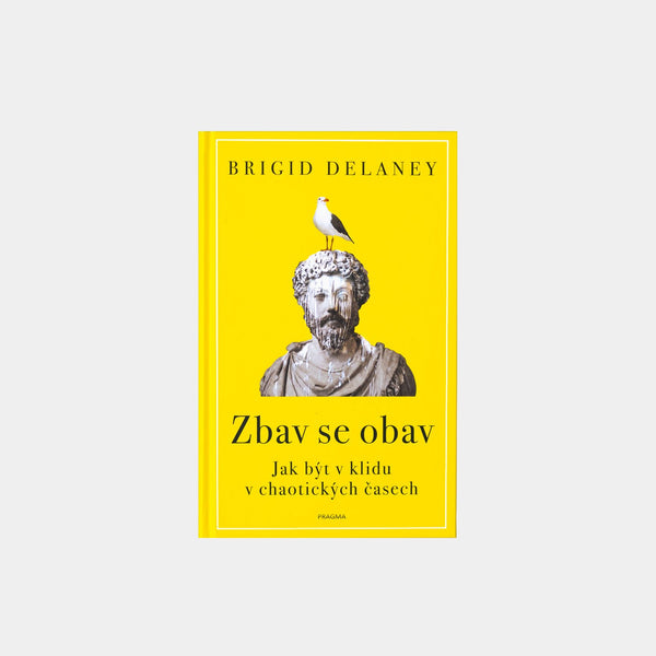 Pozbądź się zmartwień – Brigid Delaney
