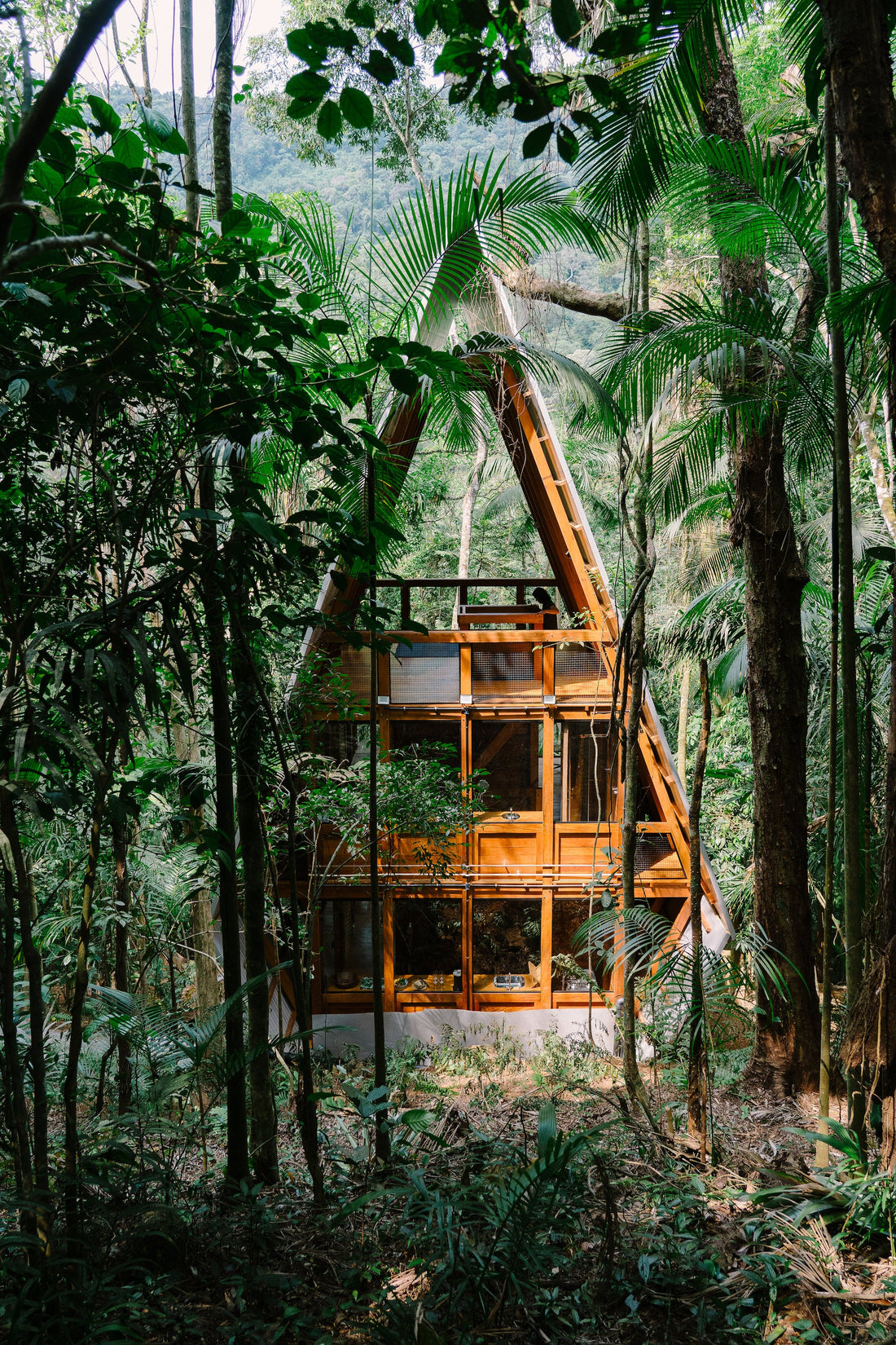 Cabin Fever: Enchanting Cabins, Shacks, and Hideaways