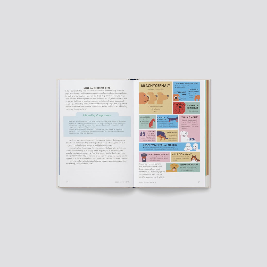 Dogs of the World: An Illustrated Compendium Lili Chin