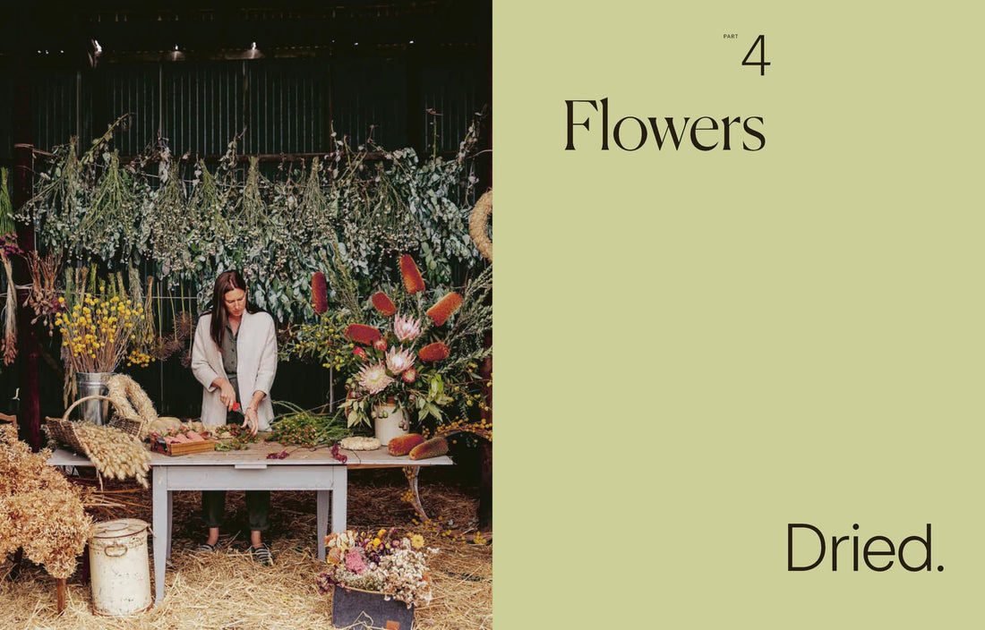 Secrets from the Flower Farm: Growing abundant flowers in unpredictable conditions