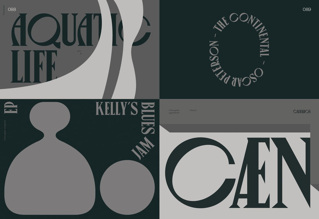 Serif In Use