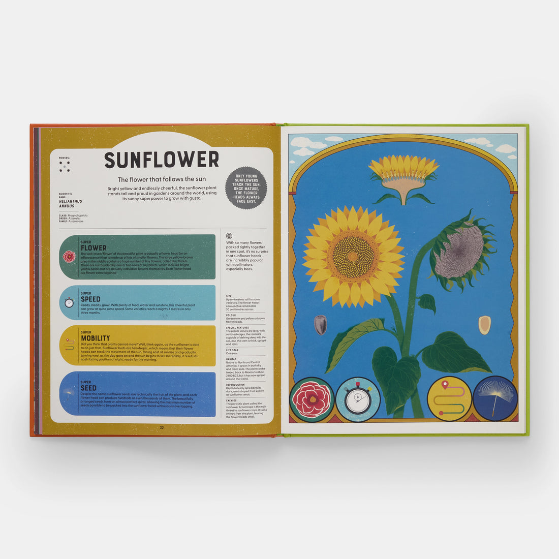 Superpowered Plants
