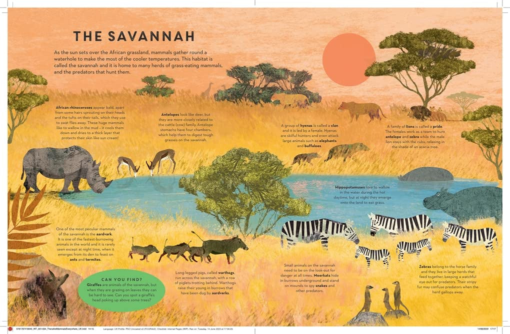 There are Mammals Everywhere