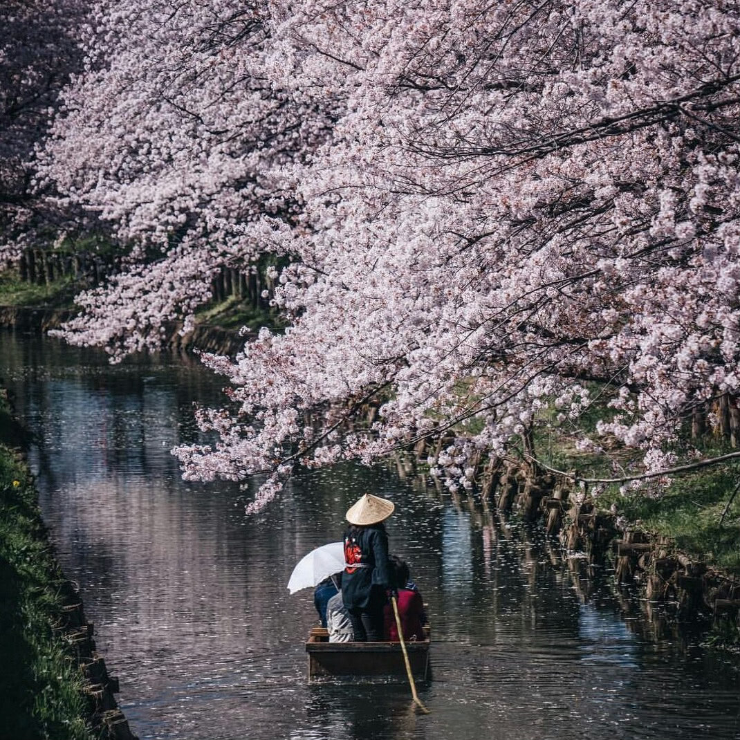 Japan - Könemann