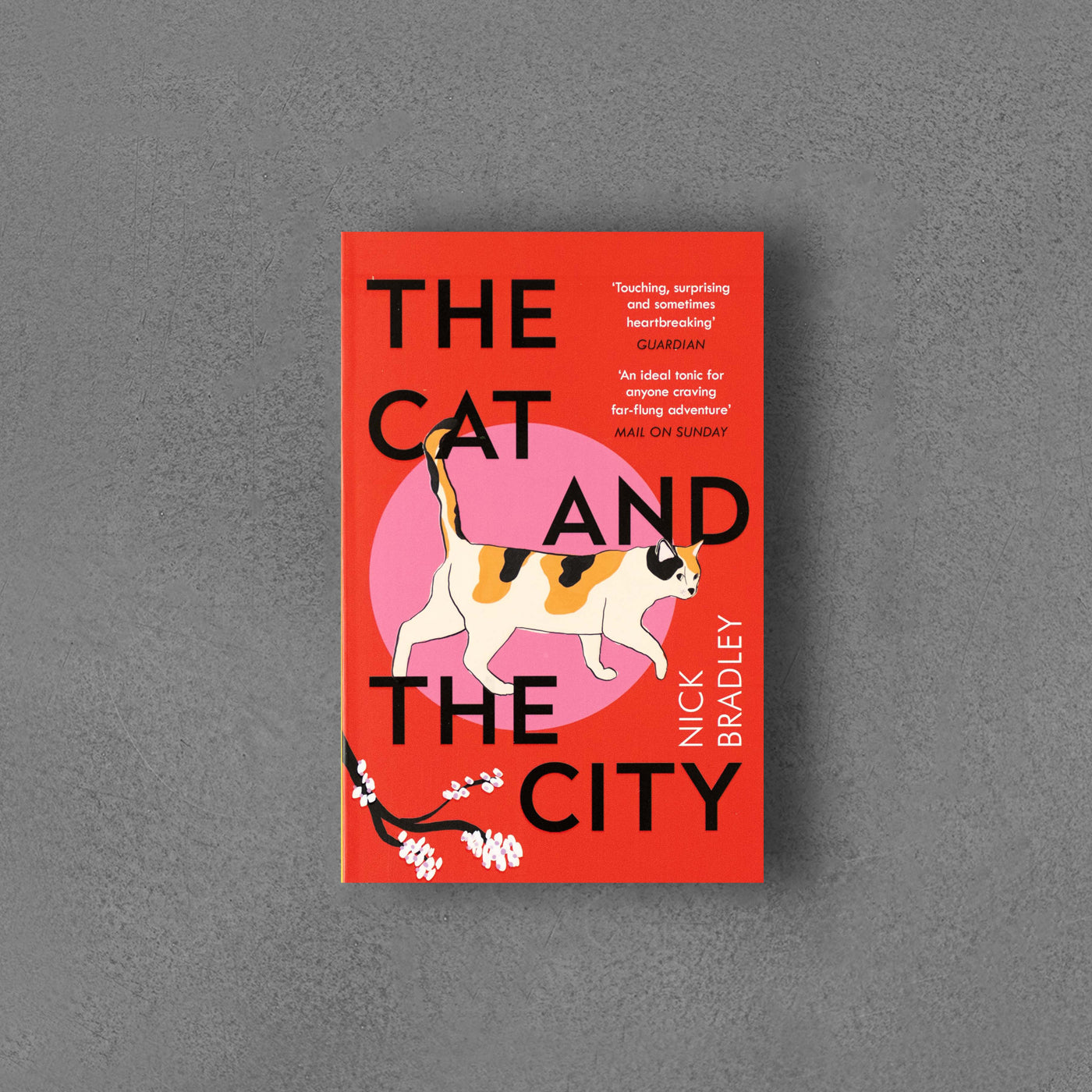 Kot i miasto – Nick Bradley