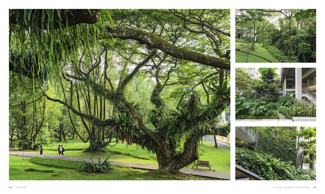 Visionary: Gardens and Landscapes for our Future