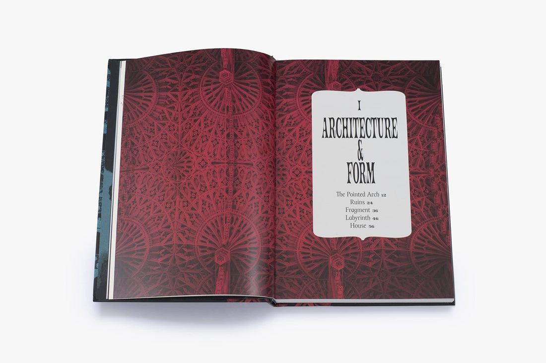 Gotyk: ilustrowana historia - Roger Luckhurst