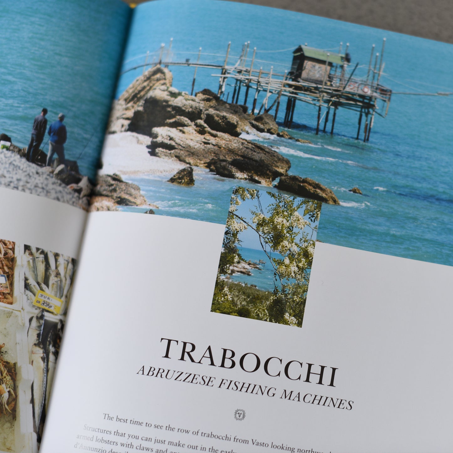 Adriatico: Recipes and Stories from Italy’s Adriatic Coast