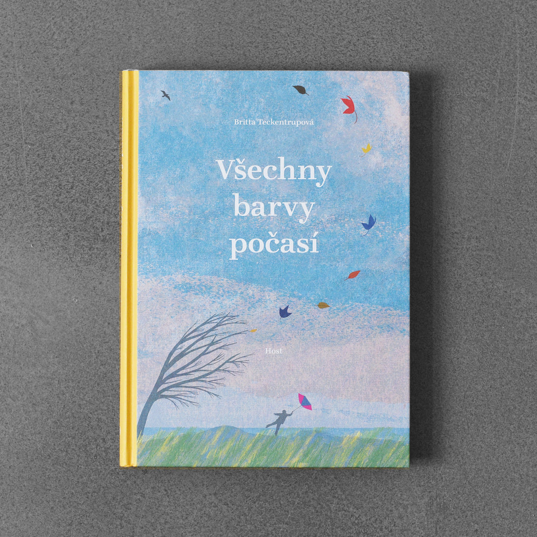 Kolory na każdą pogodę – Britta Teckentrup