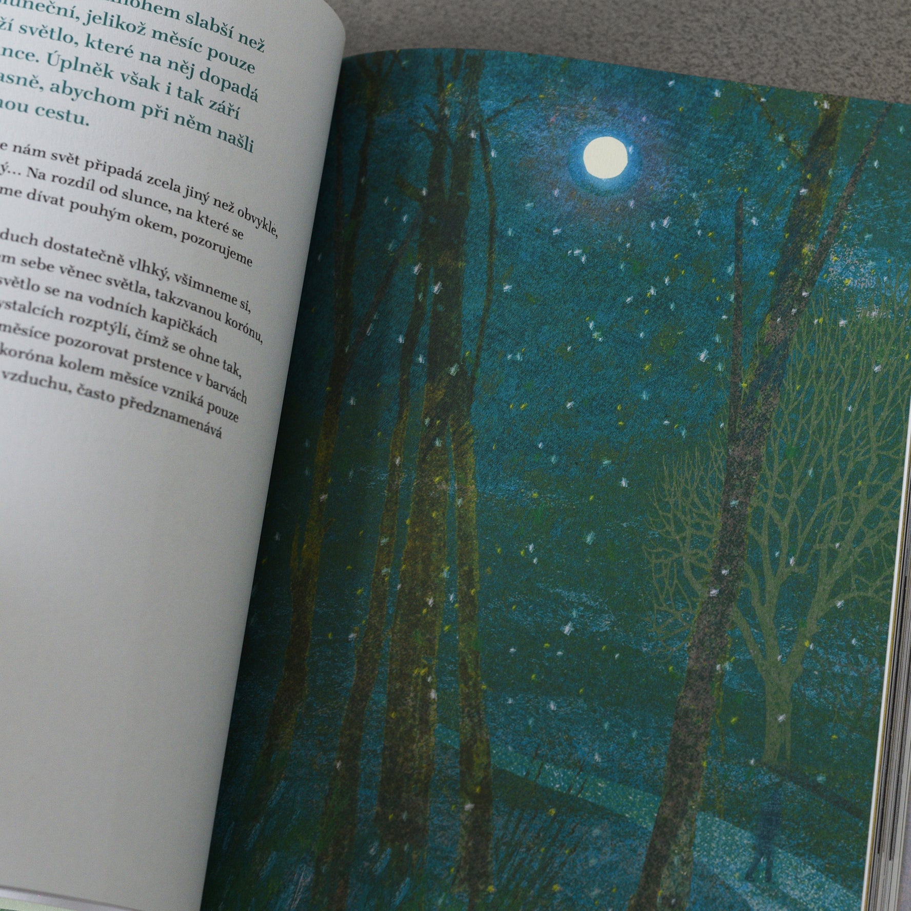 Kolory na każdą pogodę – Britta Teckentrup
