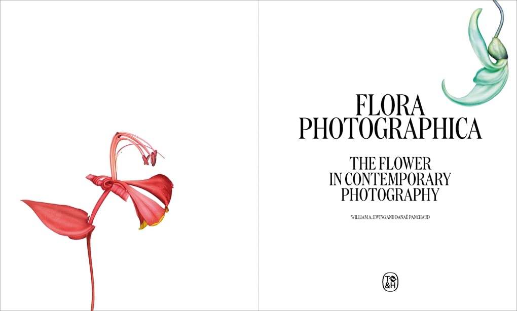 Flora Photographica: Kwiat w fotografii współczesnej