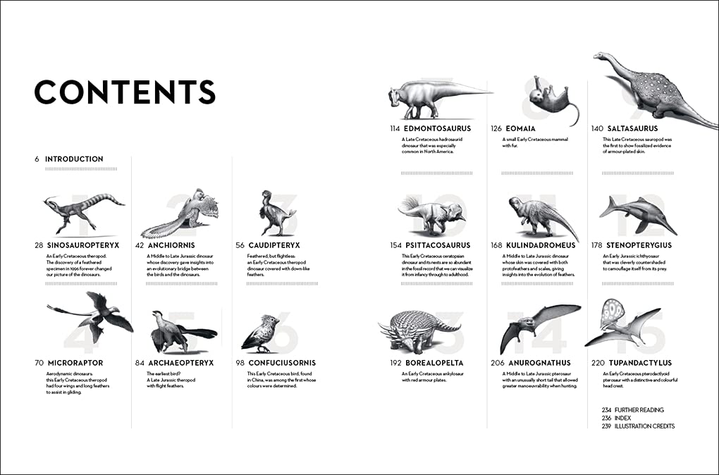 Dinozaury: nowe wizje zaginionego świata