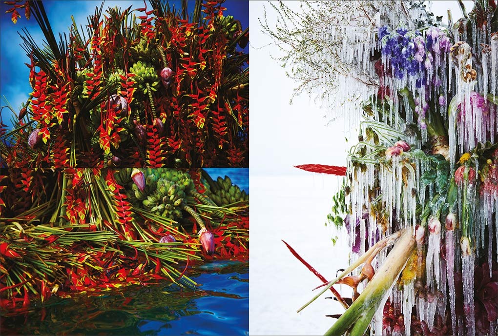 Makoto Azuma: Sztuka kwiatowa