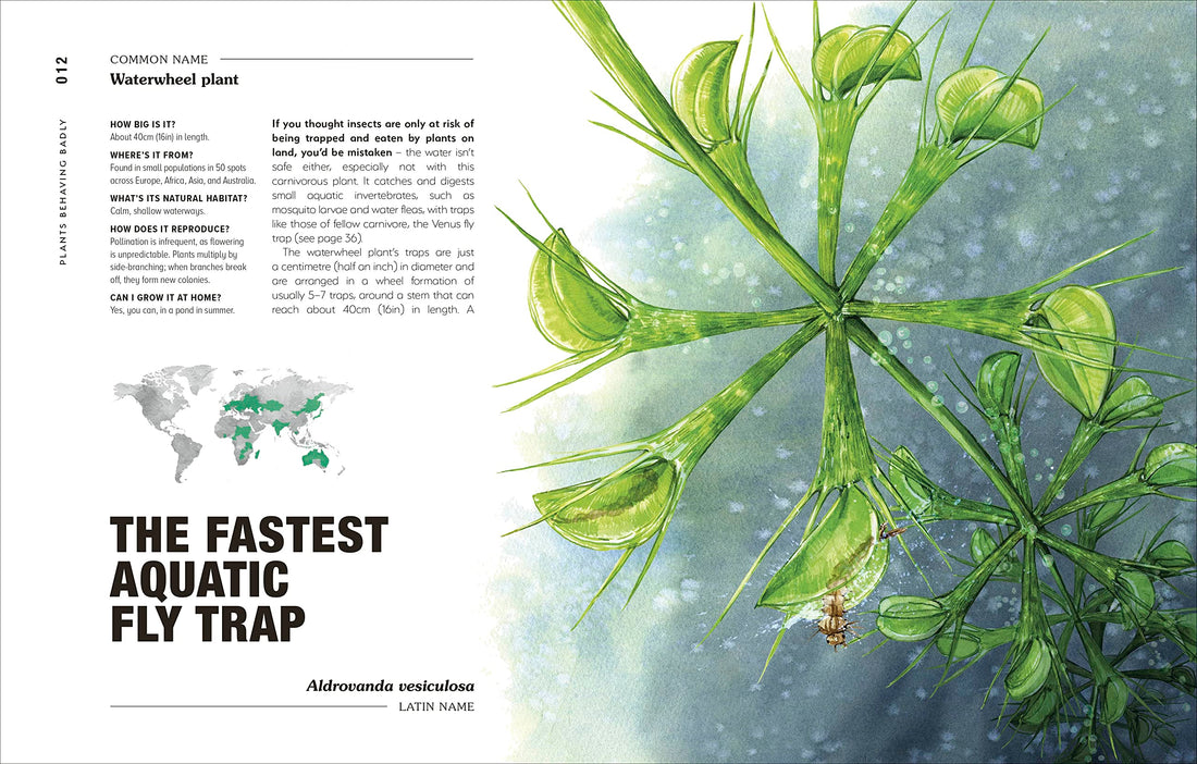 Hortus Curious: Odkryj najdziwniejsze i najwspanialsze rośliny i grzyby na świecie